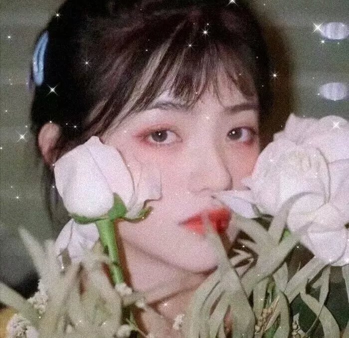 天网孽情