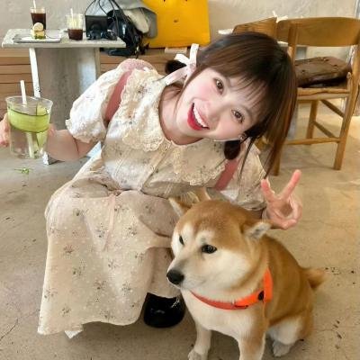 爱的创可贴